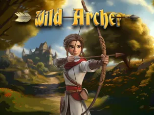 Wild Archer screenshot